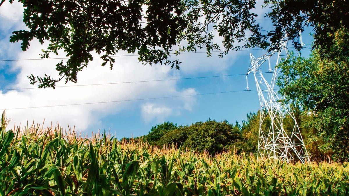 Fotografía que ilustra la noticia: Galicia pagó 38 millones en suplementos territoriales en la electricidad entre 2019 y 2020, el importe más alto del Estado