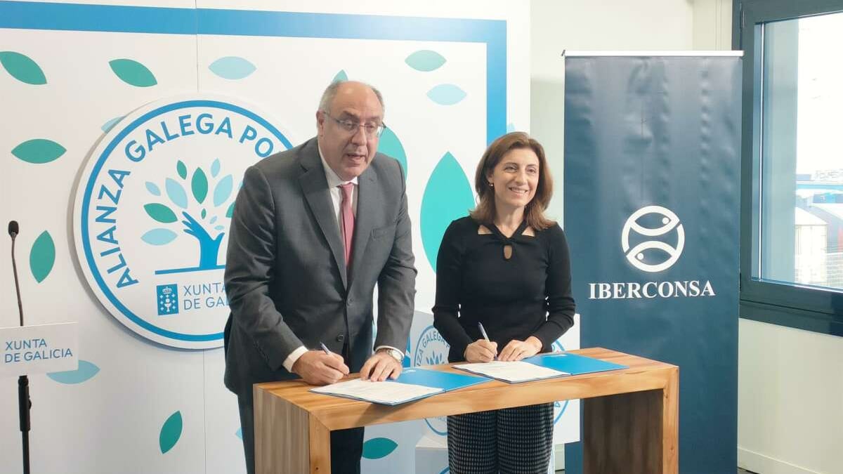 Fotografía que ilustra la noticia: Iberconsa cierra 2025 con ventas de 398 millones, un 5% menos, y dispara su deuda un 34%