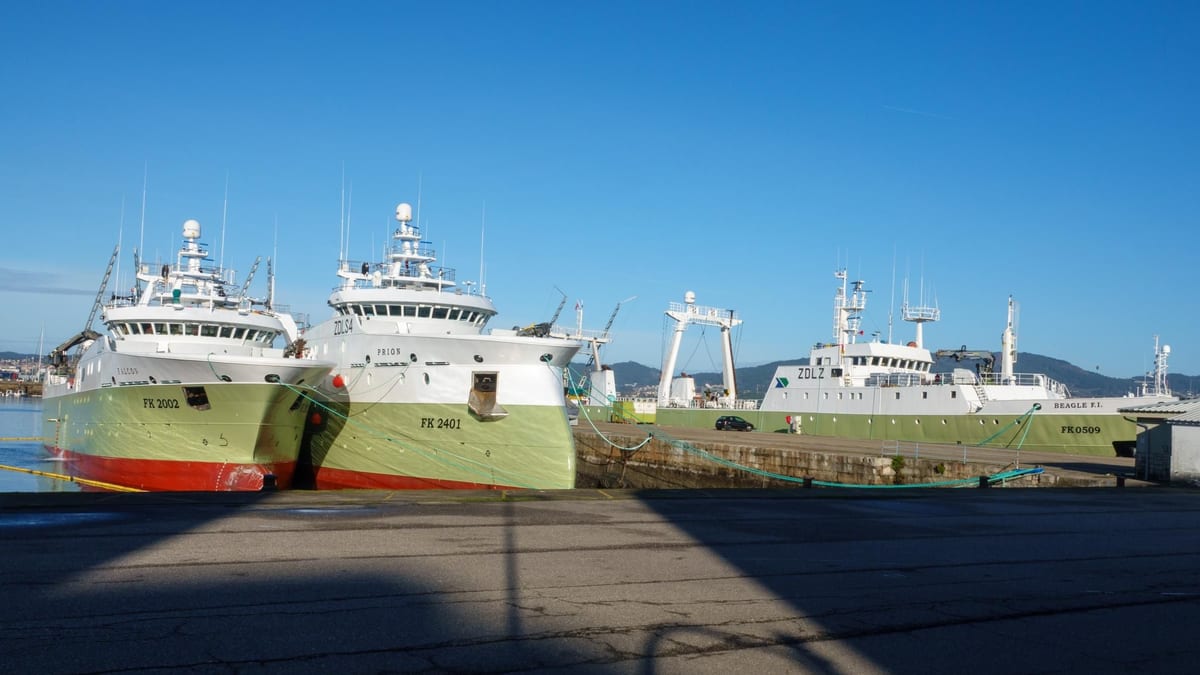 Fotografía que ilustra la noticia: La mitad de la flota que faena en Malvinas ya ha abandonado el caladero, según el sector