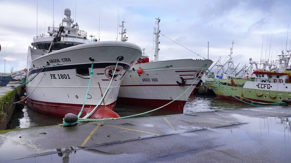 Fotografía que ilustra la noticia: Malvinas cierra la pesca a la flota de Vigo por falta de calamar