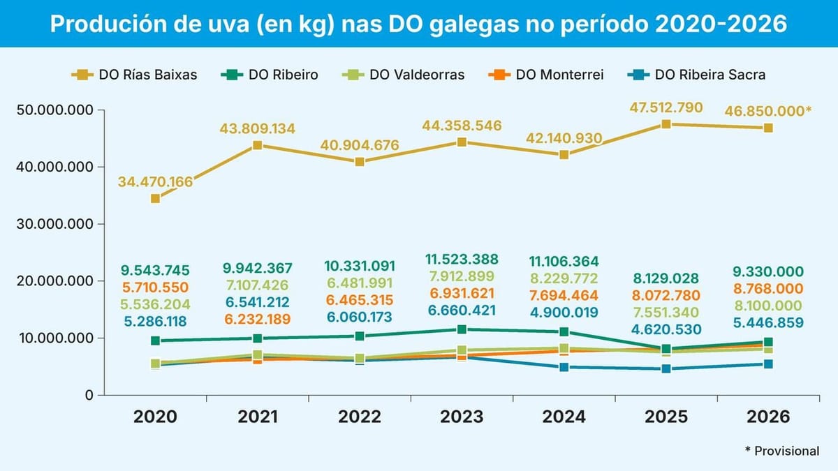 Fotografía que ilustra la noticia: Récord de vendimia en Galicia con 78,5 millones de kilos de uva, pero los viticultores denuncian precios a la baja