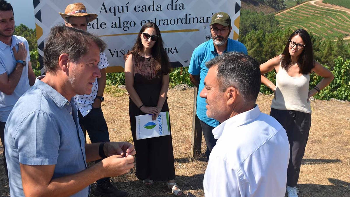 Fotografía que ilustra la noticia: Viña Costeira lidera un proyecto pionero de viticultura regenerativa y digital con 760.000 euros de la Xunta